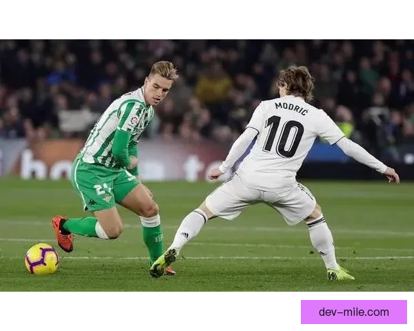 2025夏季转会赫塔菲引进中甲潜力新星提升球队阵容